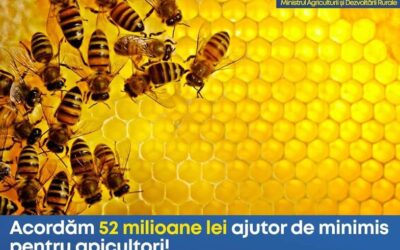 Ajutor de minimis pentru compensarea efectelor fenomenelor hidrometeorologice nefavorabile manifestate în perioada martie – mai 2021 asupra sectorului apicol