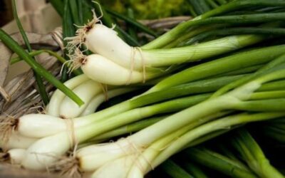 SE APROPIE TERMENUL LIMITA DE DEPUNERE A CERERILOR DE INSCRIERE IN PROGRAMUL DE SUSTINERE A LEGUMELOR IN SPATII PROTEJATE PENTRU CICLUL II DE PRODUCTIE