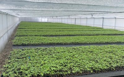 Aesiuni de informare a producătorilor agricoli cu privire la formele de sprijin ce vor fi acordate in anul 2026